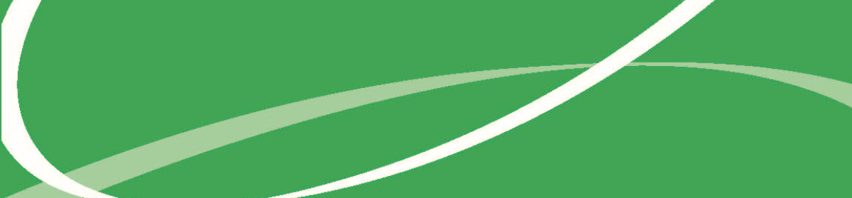 Court of Protection Handbook